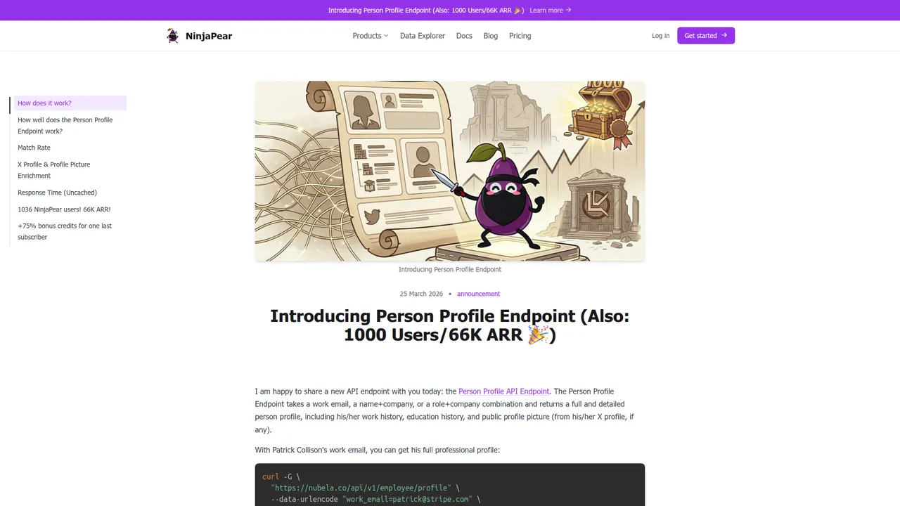 NinjaPear Person Profile Endpoint example showing work-email input and structured output
